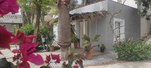 Guesthouse Sleeps 2 - Pool Access - Pets Welcome