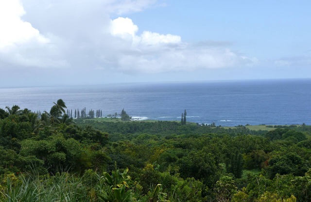 Hana's Heaven - a charming 2 bedroom cottage with spectacular ocean views