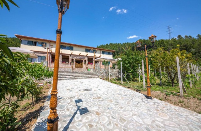 Hani i Taulant Shahinit