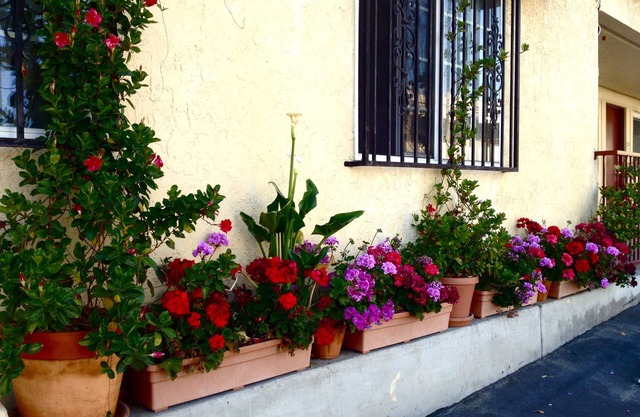 Harvey's Motel SDSU La Mesa San Diego