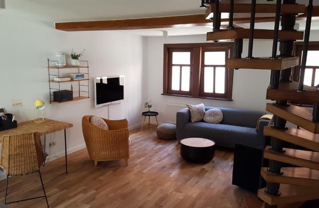 Haus zum wilden Manne