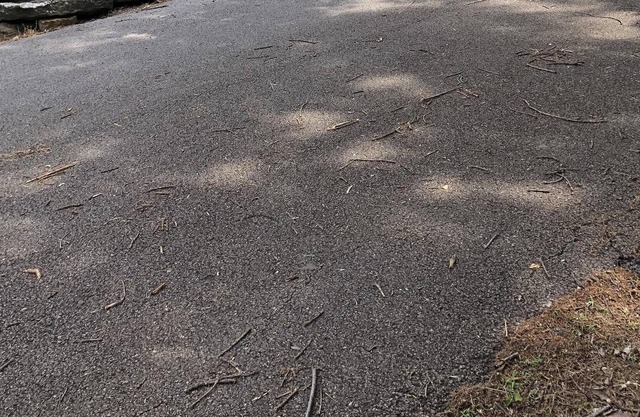 Have a Staycation at this cozy cabin near State Park and Blackgum Landing !