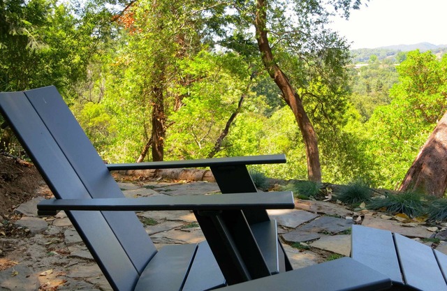 Healdsburg Hilltop Retreat : Craftsman detail, modern comforts & stunning VIEWS