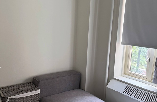 Healthcare workers dream Lower east side Manhattan 1-bd available shared apt
