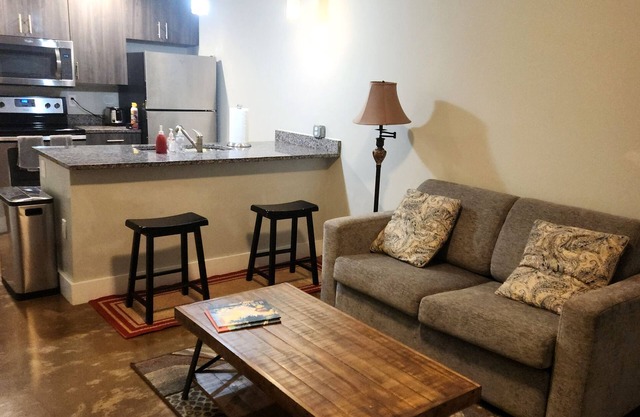 Heart of the Arts - New King Suite on West Broad Condo’s next to Quirk MCV VCU