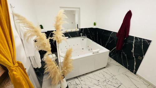 Hedonist Spa Jacuzzi Sarajevo Free parking