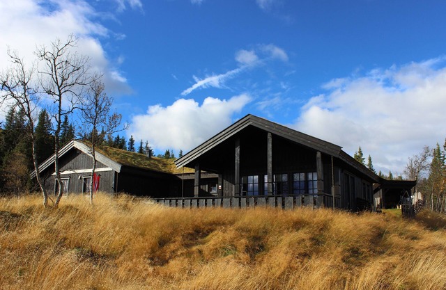 High standard mountain cabin – sauna- outdoor jacuzzi – 4 bedrooms- pet friendly