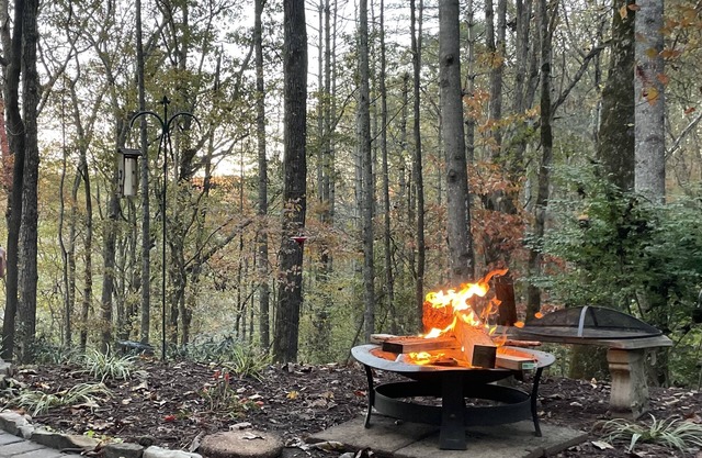 Hiking, Biking & Mountain Retreat! Minutes to DuPont & Pisgah Nat’l Forrest!