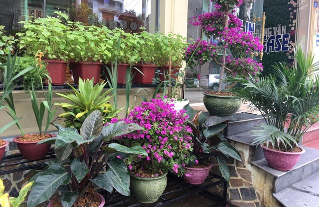 Hoang Ngoc Hotel