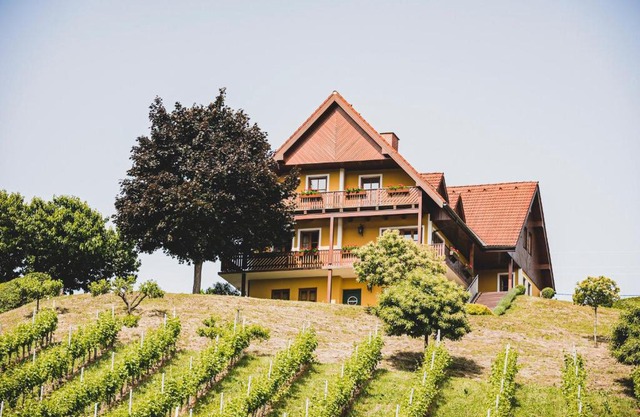 Hohler Appartement Gamlitz