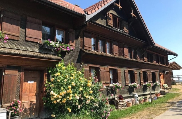 Holiday apartment Bütschwil for 1 - 6 persons with 3 bedrooms - Farmhouse