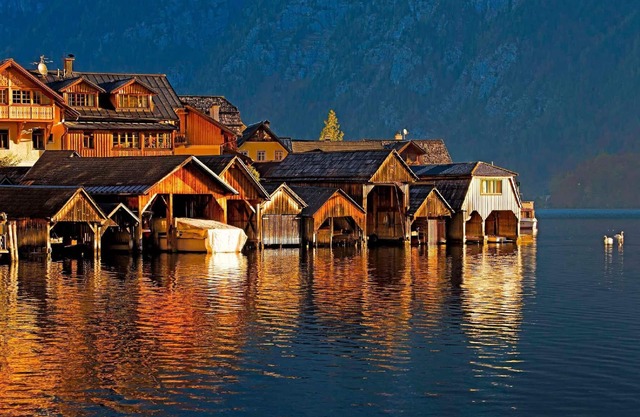 Holiday apartment Großgmain for 1 - 4 persons with 2 bedrooms - Holiday apartment in one or multi-fa