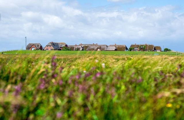 Holiday Apartment 'Haus Süderkamp' with Lake View and Wi-Fi