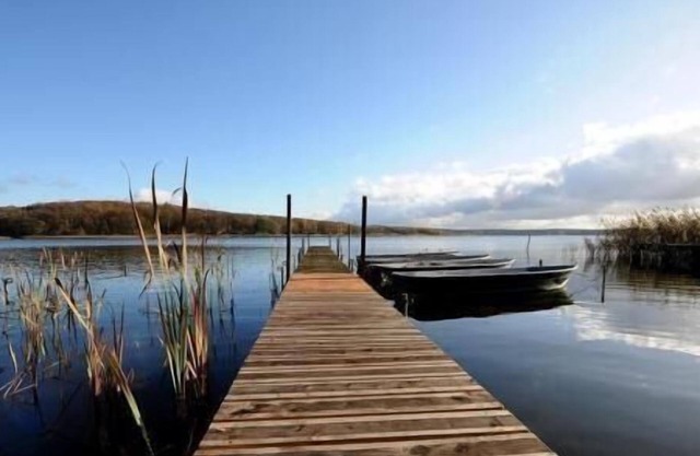 Holiday apartment Neukloster for 1 - 4 persons with 1 bedroom - Holiday apartment in one or multi-fa