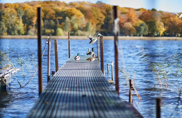 Holiday apartment Neukloster for 1 - 4 persons with 1 bedroom - Holiday apartment in one or multi-fa