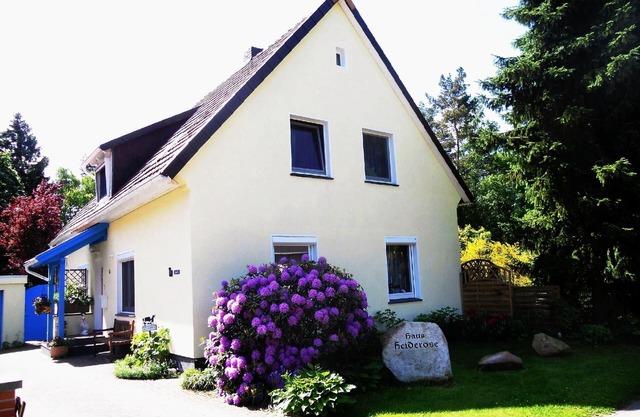 Holiday apartment Walsrode for 1 - 4 persons with 2 bedrooms - Holiday house