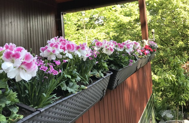Holiday home in a nature park - HAPPY in harmony with nature
