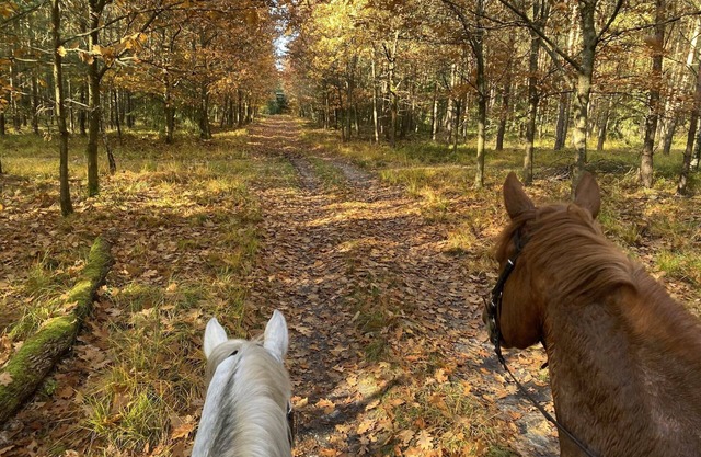 Holiday home on a riding stable