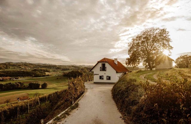 Holiday home with sauna and barbecue