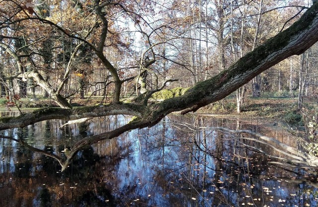 Holiday house Berge for 1 - 8 persons with 4 bedrooms - Twin house