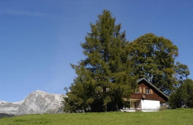 Holiday house Wildhaus for 1 - 8 persons with 4 bedrooms - Holiday house