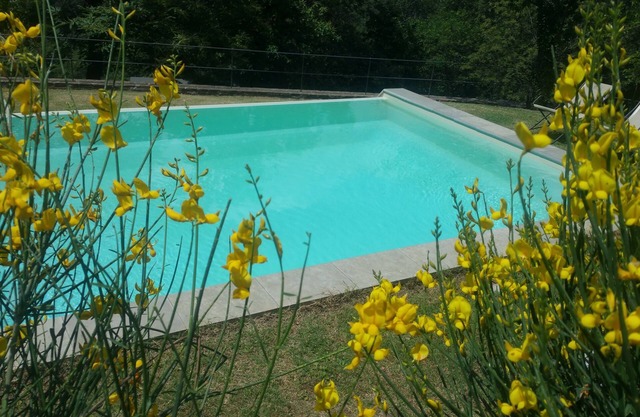 Holidays in total relaxation in a property surrounded by greenery with swimming pool