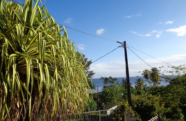 Holidays in a City of Art and History close to the sea and its beaches.
