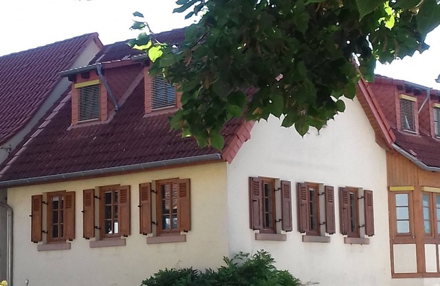 Holidays in the idyllic wine-growing village near Freinsheim