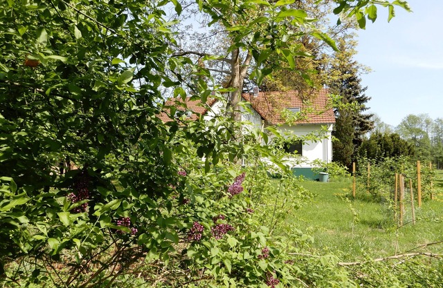 Holidays in the center of the biosphere reserve Burg im Spreewald