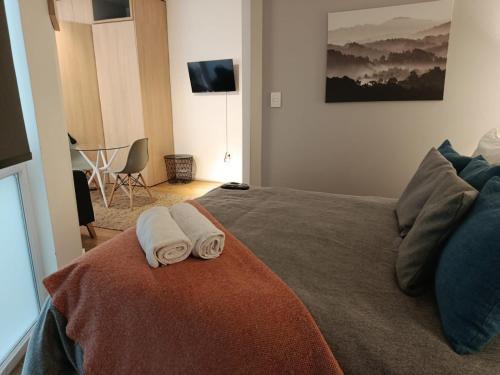 HOM I Departamento Studio AlA Lastarria 2PAX