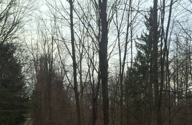 Home on 10 Acres! Romantic getaway, Hunting paradise, Family vacation,Events