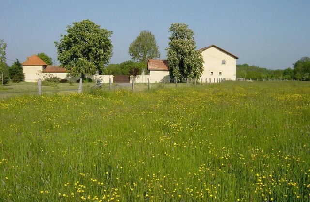 Homerez - Beautiful house for 7 ppl. with terrace at Culhat