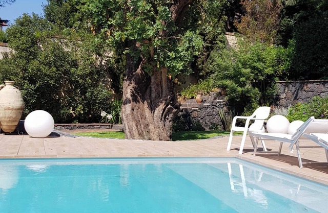 Homerez - Studio in Trecastagni, garden