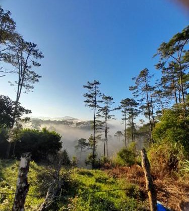 Homestay niem t'rị Măng Pên