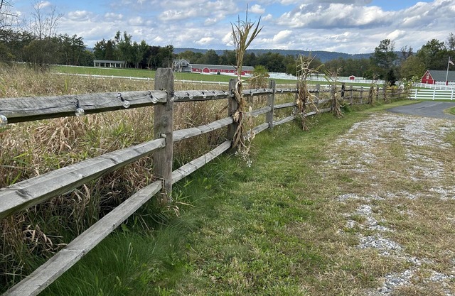 HootinNanny Hideaway - a farm stay