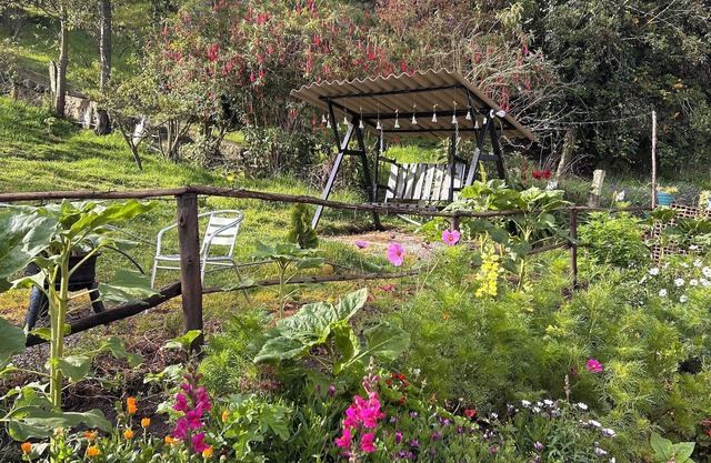 Hospedaje villa rosita