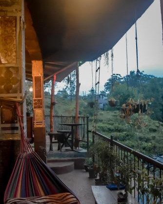 Hostal Tree House