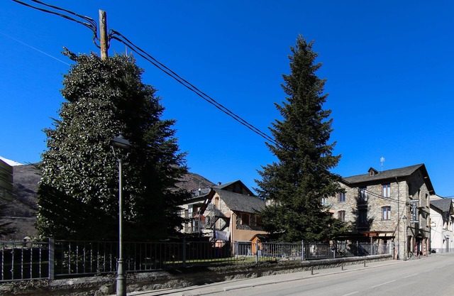 Hostal Vall d'Aneu