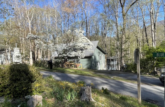 Hot tub, walk-in tub, wheelchair accessible, pet loving, indoor & outdoor games