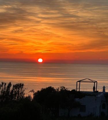 Hotel Boutique Ideal