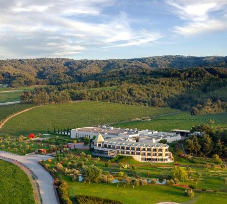 Hotel Caeli