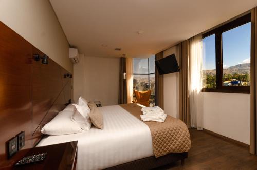 Hotel Mitru Sur