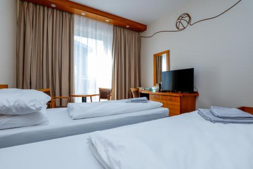Hotel Opava - free parking