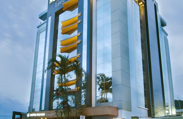 Hotel Palmas Executivo