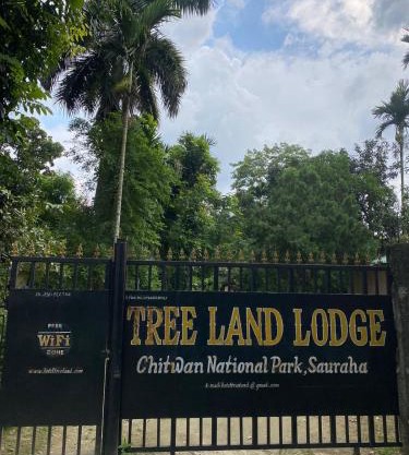 Hotel Tree Land Lodge and Cottage