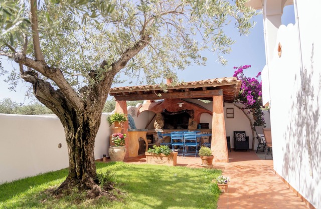 House adjacent to playground with ancient olive trees
