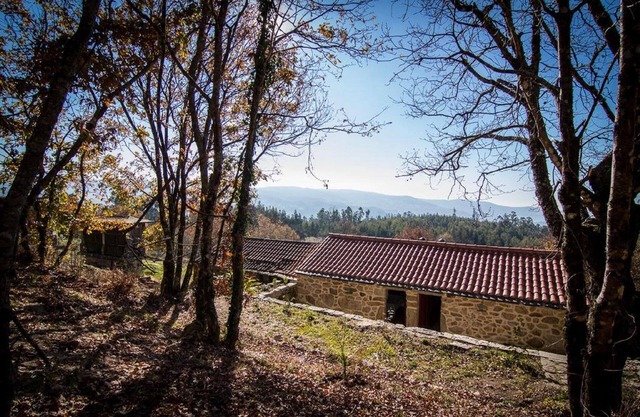 House of Grandfather Zé - Houses of Grandparents