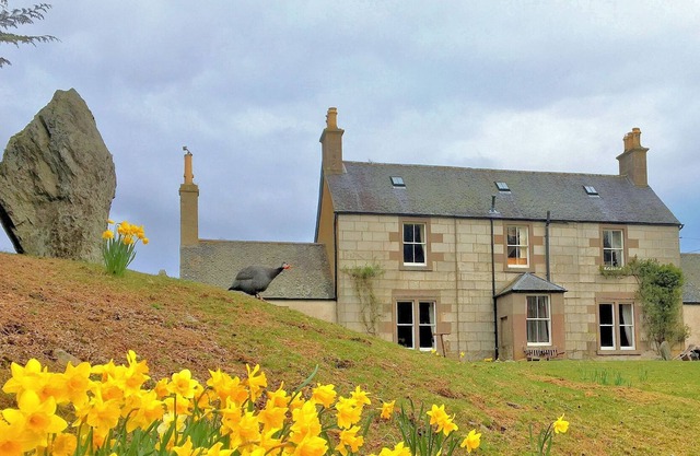 House of Mark, Holiday House in Angus, Scotland