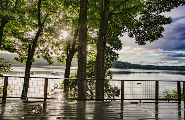 Huge deck, spectacular views and the beach. Waterfront hideaway.