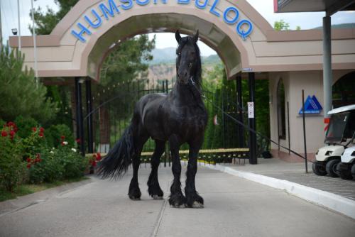 HUMSON BULOQ SANATORIUM